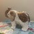 Antoni Gaudí Mid-Century Whimsical Sea Shell Encrusted Lucky Elephant Folk Art Sculpture For Sale - Image 4 of 12