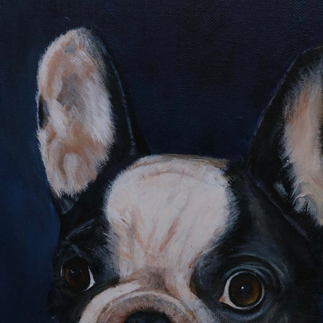 Boston Terrier Dog Portrait Oil Painting “Henry” Signed For Sale In Cincinnati - Image 6 of 14