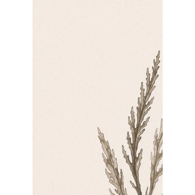 Coastal Seaweed Study I, Minimalist Botanical Art Print, 24" × 36" Reproduction For Sale In Buffalo - Image 6 of 10