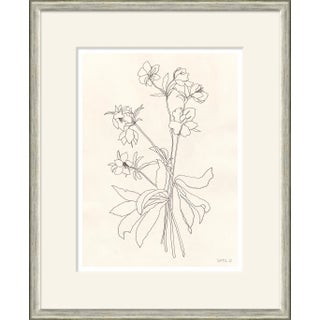 Helebore Study III Framed Art Print by Susan Hable For Sale
