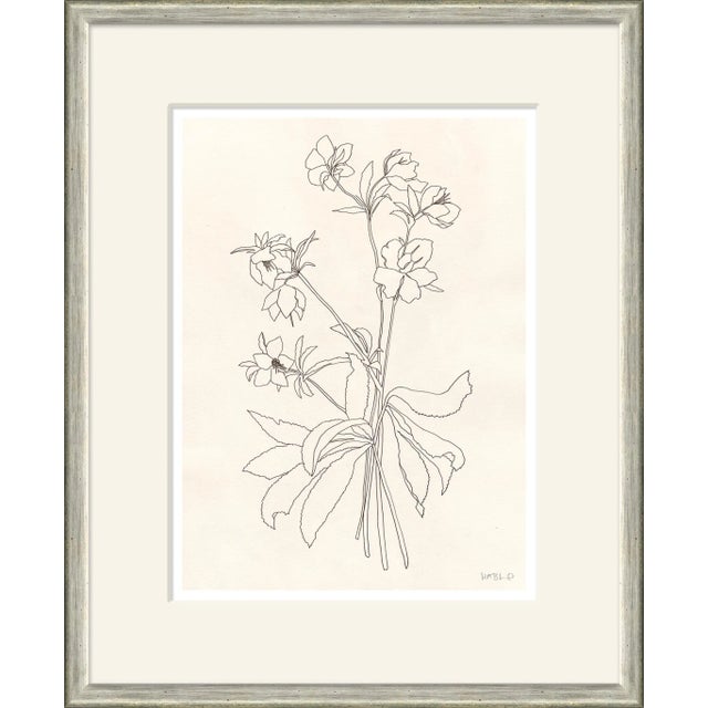 Helebore Study III Framed Art Print by Susan Hable For Sale