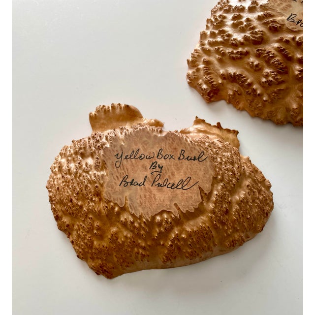 Australian Eucalyptus Burl Wood Bowls, a Pair For Sale - Image 10 of 12