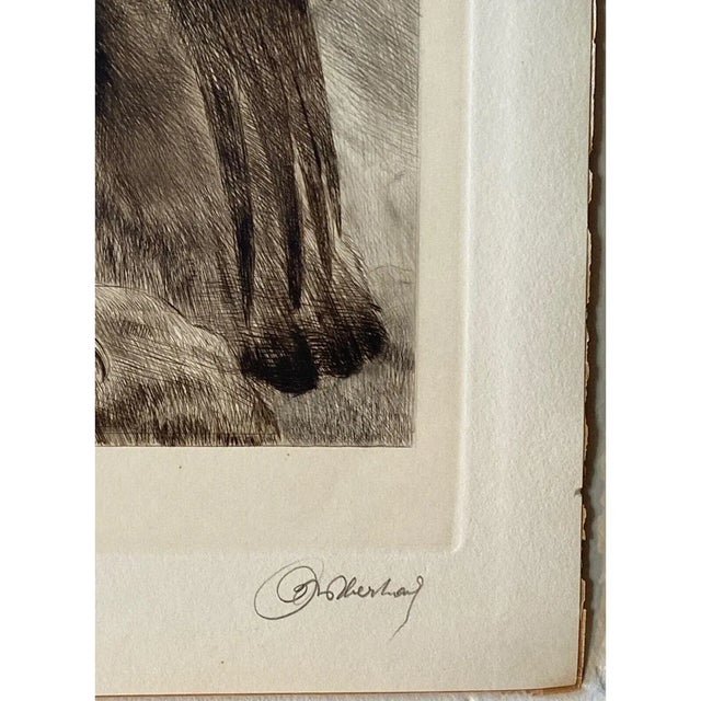 1930s Curt Meyer-Eberhardt (1895–1977) Portrait of an Eagle Etching With Aquatint, C. 1930s For Sale - Image 5 of 12