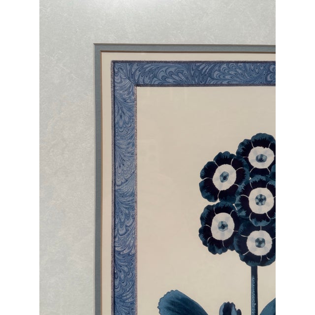 Vintage Traditional Victorian Blue Floral Botanical Gold Framed Reproduction Prints, a Pair For Sale - Image 10 of 17