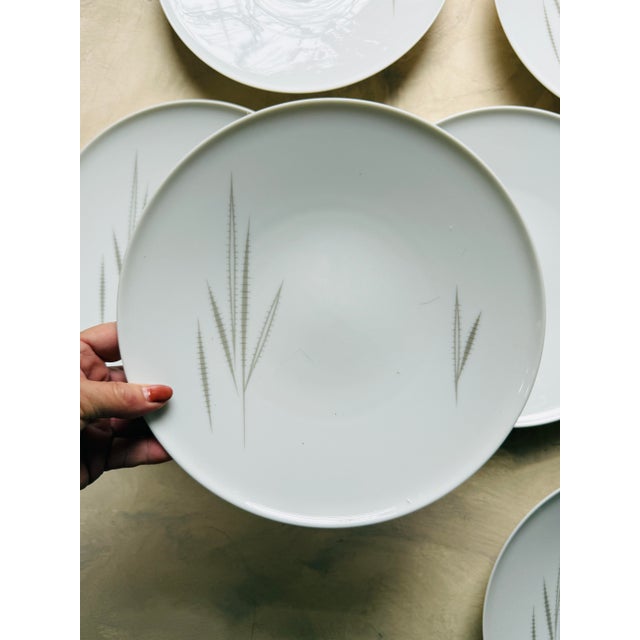 Heinrich & Co. Vintage Heinrich & Co. Bavaria Porcelain Dinner Plates – Grazie Pattern – 9.75 - Set of 10 For Sale - Image 4 of 12