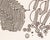 Abstract Ink Drawing by William Itter For Sale - Image 4 of 8