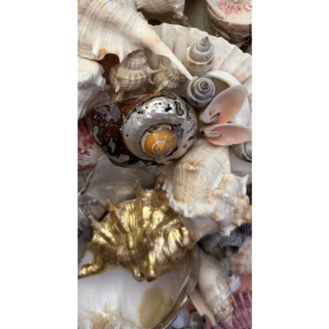 2020s Sunnaira Wall Plaque For Sale - Image 5 of 5