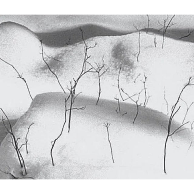 black & white silver gelatin photograph, edition # 5/25 Image: 24 x 20 in image (60.96 x 50.8 cm) Matted: 24.75 x 23.75 in...