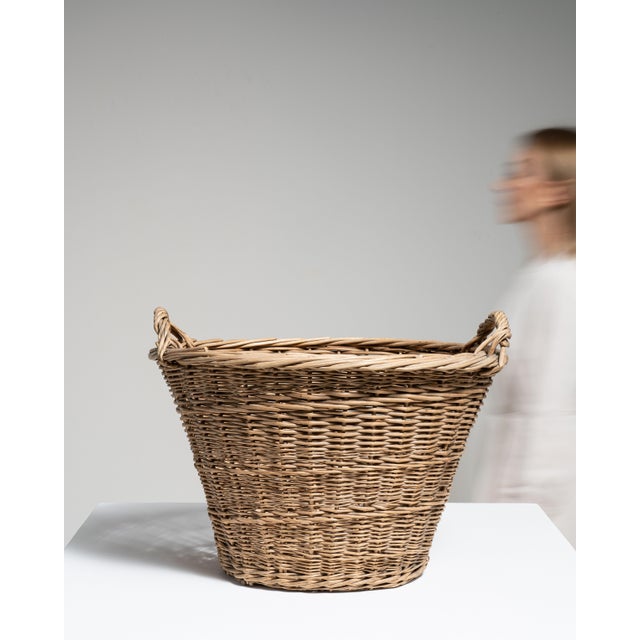 Mid 20th Century Mid 20th Century France Tan Wicker Basket For Sale - Image 5 of 15