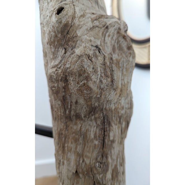 2020s Rustic Kennebunkport Driftwood Floor Lamp For Sale - Image 5 of 6