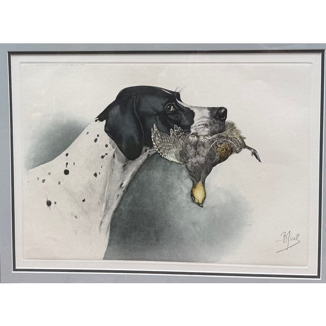 Framed Colored Etching of English Pointer Dog With Partridge, by Boris Riab, C 1940s For Sale - Image 4 of 9