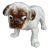 Terracotta Majolica Bulldog Bavent Filmont, Circa 1900 For Sale