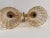 Metal 1960s Italian Murano Glass & Brass Art Deco Sconces - Pair For Sale - Image 7 of 7