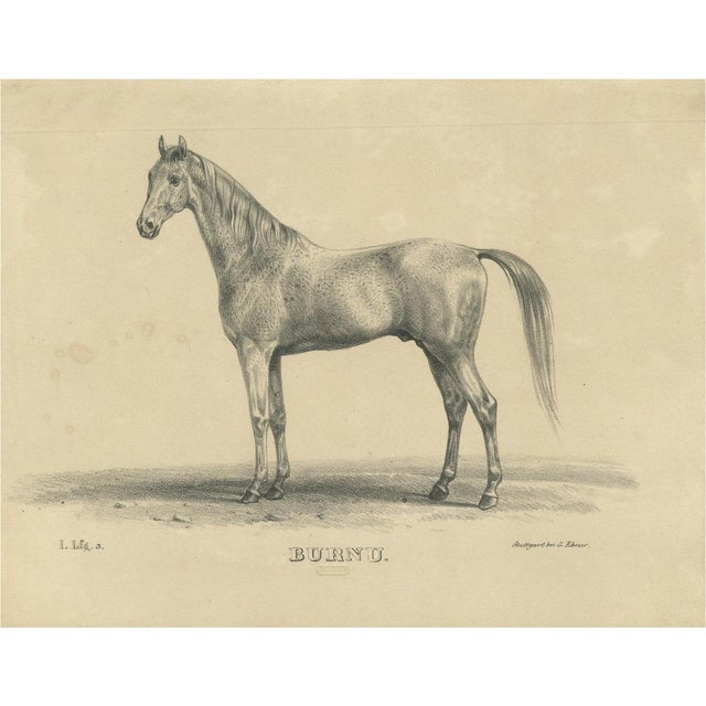 August Jäger, Burnu, 1846, Lithograph For Sale - Image 9 of 9