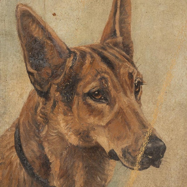 Frederick Thomas Daws, Antique German Shepherd, Oil on Canvas, 1926, Framed For Sale - Image 6 of 10