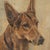 Frederick Thomas Daws, Antique German Shepherd, Oil on Canvas, 1926, Framed For Sale - Image 6 of 10