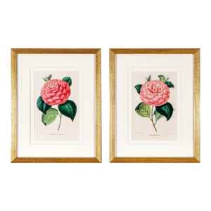 Antique Framed Botanical Prints of Camellia Flowers by Bernard Léon (Belgian, 19th Century) - A Pair