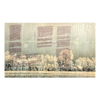 Gaetano Fracassio, Willow, 1980s, Mixed Media For Sale