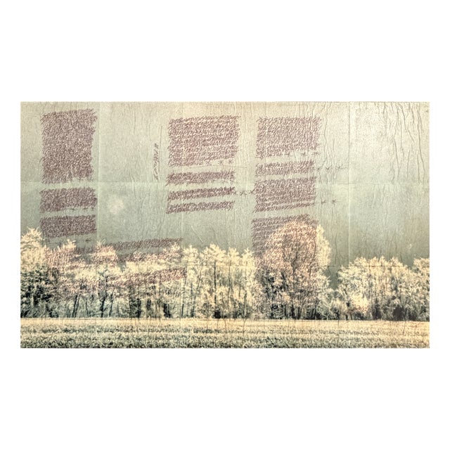 Gaetano Fracassio, Willow, 1980s, Mixed Media For Sale