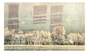 Gaetano Fracassio, Willow, 1980s, Mixed Media