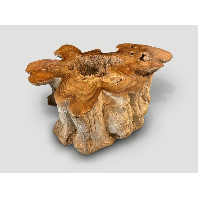 Andrianna Shamaris Impressive Organic Teak Wood Coffee Table For Sale In New York - Image 6 of 18