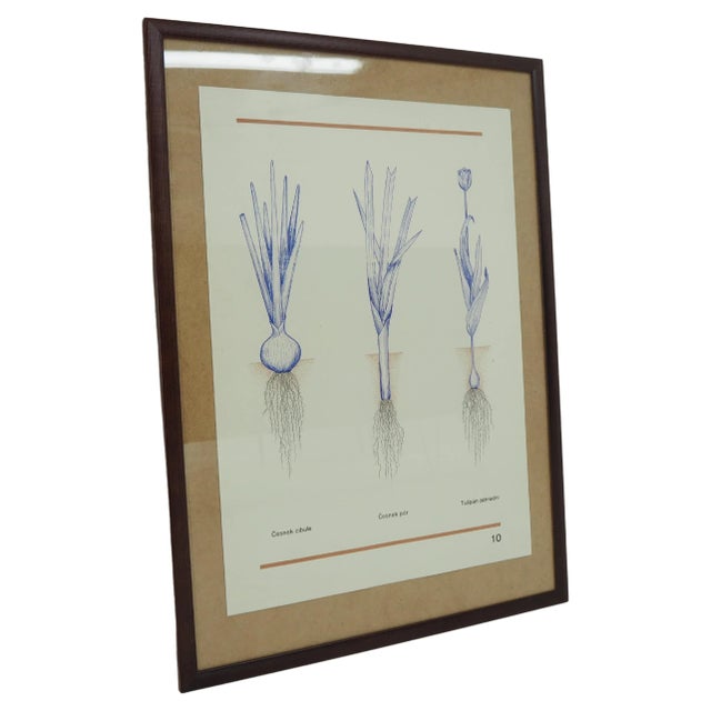 Glass School Poster, Czechoslovakia, 1960s For Sale - Image 7 of 7