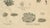 Dye and Chemical Species, 1800s, Paper For Sale - Image 5 of 10