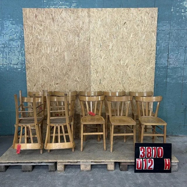 1950s Farmhouse French Blonde Dining Chairs, 1950s, Set of 12 For Sale - Image 5 of 5