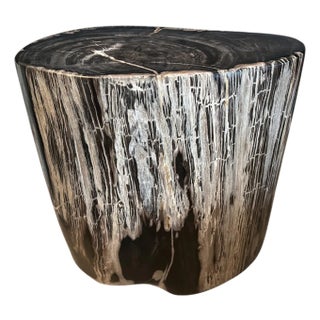 Andrianna Shamaris Ancient Petrified Wood Side Table For Sale