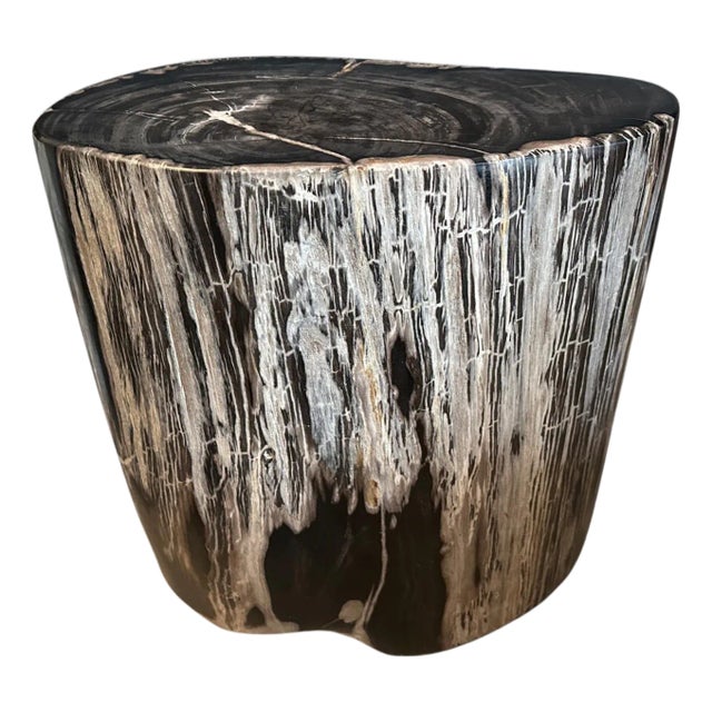 Andrianna Shamaris Ancient Petrified Wood Side Table For Sale