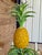 Vintage Whimsical Coastal Regency Pineapple Tole Nine-Light Chandelier For Sale - Image 9 of 12