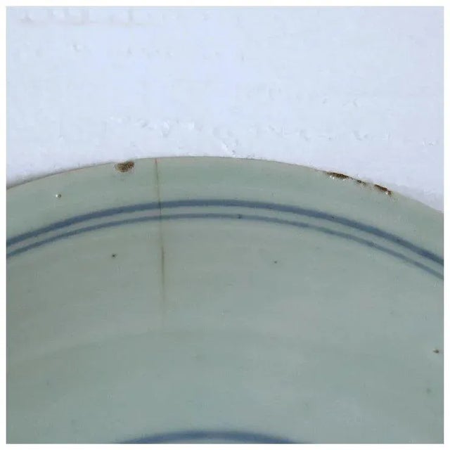 16th Century Large Chinese Export Ming Swatow Ware Porcelain Celadon Phoenix Plate For Sale - Image 5 of 7