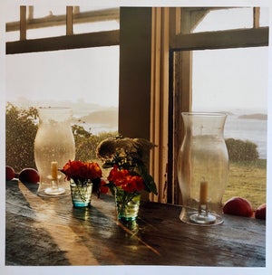 Peter C. Jones 1, Last Light Nasturtiums, Large Format Photo 24X20 Color Photograph Beach House RI, 2004