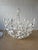 Stray Dog Designs White Landon Chandelier For Sale - Image 11 of 13