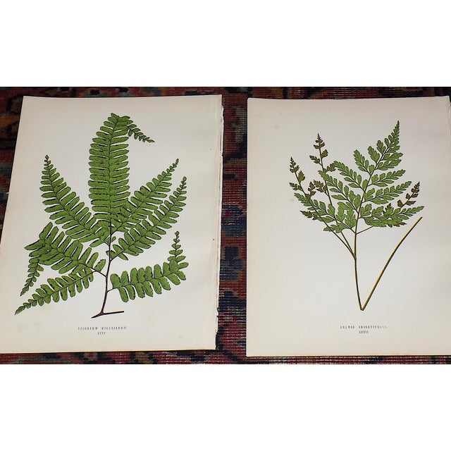 This set of twelve (12) authentic 19th century engravings on wood (sometimes referred to as woodcuts; sometimes...