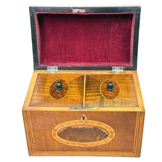 Brown 18th Century George III Harewood and Black Thorn Tea Caddy, 1790 For Sale - Image 8 of 9