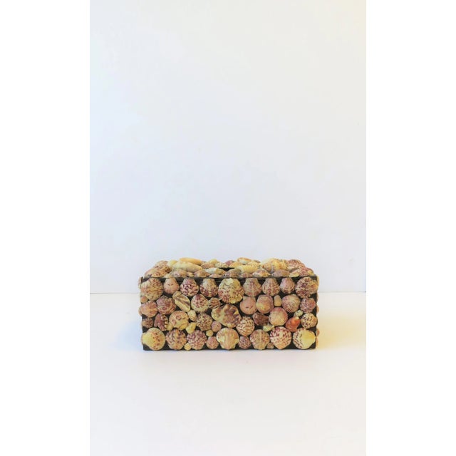 Wood Seashell Tissue Box Cover, Circa 1960s For Sale - Image 7 of 12
