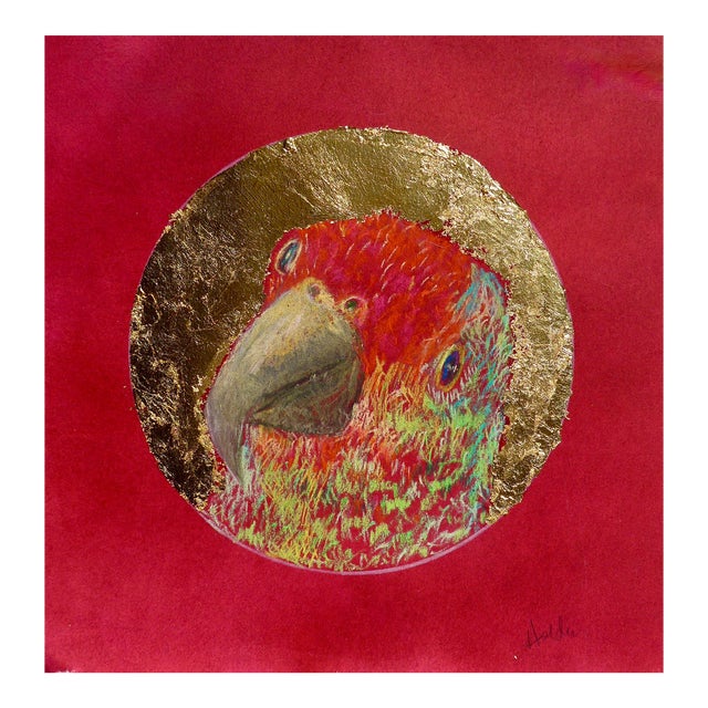 Martha Holden Contemporary Drawing, Parrot in a Golden Cameo For Sale