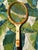 Wood Vintage Collection of Wilson Tennis Rackets and Guard For Sale - Image 7 of 8
