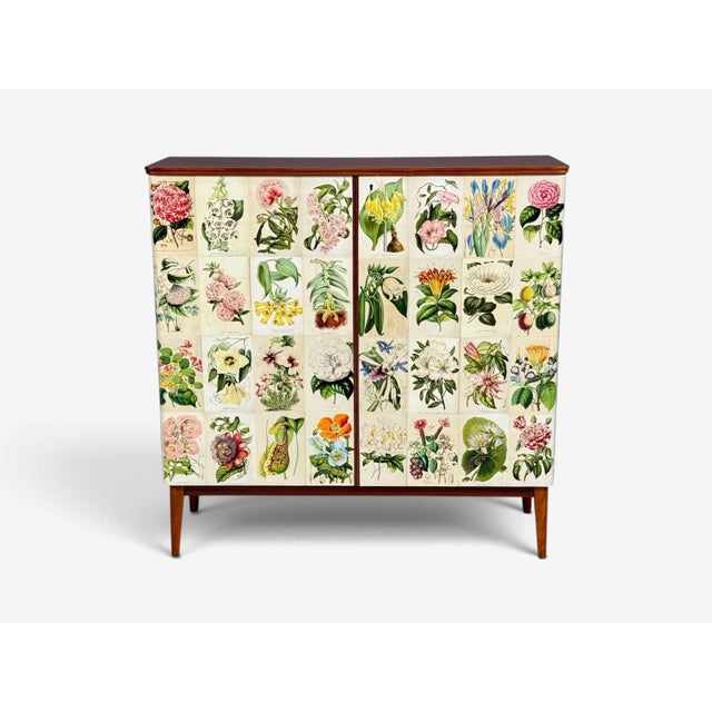 Swedish Modern, La Belgique Horticole Cabinet, Mahogany, Sweden, 1950s For Sale - Image 4 of 13