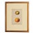 French Fruit Engraving, 19th Century For Sale