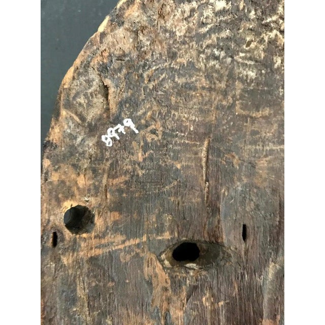 Lega Bwami Society Mask on Display Stand with Provenance For Sale - Image 10 of 11