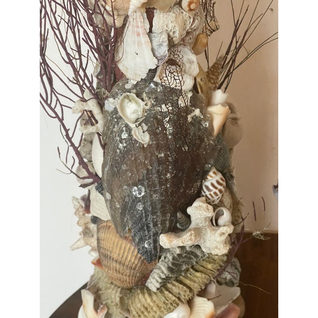 Tan Antique Grotto Sea Shell Candlesticks With Antique Bahamas Conch Shells For Sale - Image 8 of 9