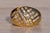 The Mount Blackburn: Vintage Diamond Argyle Ring in Yellow Gold For Sale - Image 4 of 11