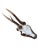 Cabin Roe Deer Trophy 155 Black Forest Antlers For Sale - Image 3 of 5
