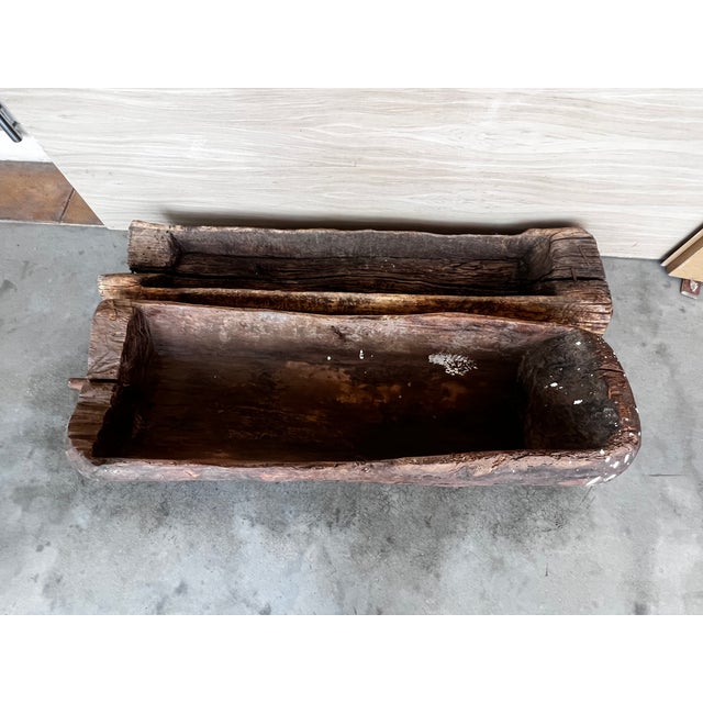 Early 18th Century Spanish Antique & Brutalist Hollowed Out Tree Trunk Wooden Planter, 1700 For Sale - Image 5 of 8