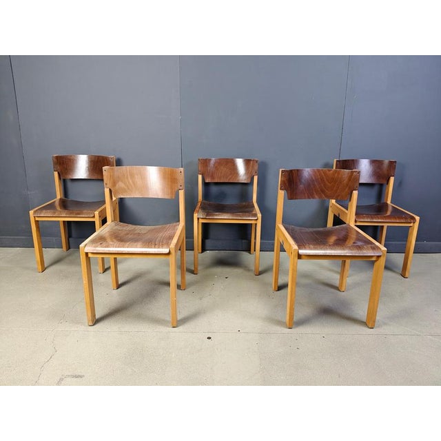 Mid-Century Brown and Birch Stacking Chairs in the style of Sven Markelius, 1980, Set of 5 For Sale - Image 10 of 12
