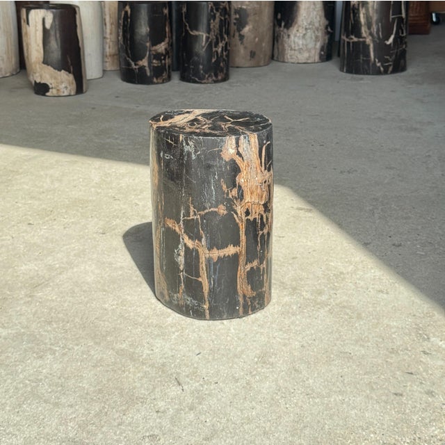 Black Small Side Table in Black Petrified Wood with Beige Striations, 1980s For Sale - Image 8 of 18