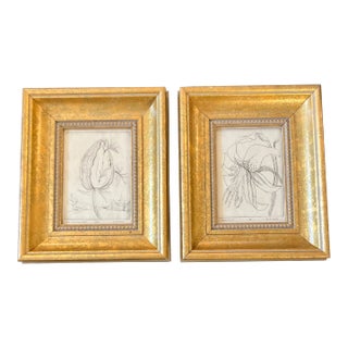 1970’s 2 Original Botanic Etchings “Gone With the Wind” & “Tiger Lily” Chunky Gold Frames-A Pair For Sale