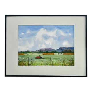 Original Watercolor Painting My Neighbors Framed For Sale